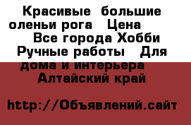 Красивые  большие оленьи рога › Цена ­ 3 000 - Все города Хобби. Ручные работы » Для дома и интерьера   . Алтайский край